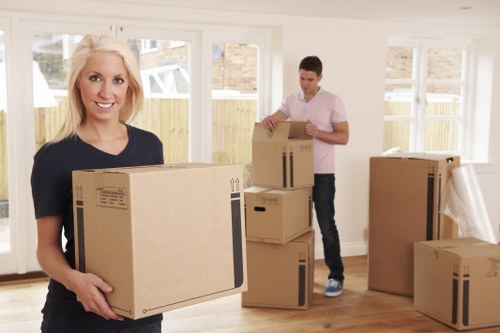 Recycling-focused removals and waste separation in Beddington
