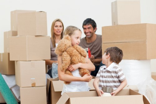 Professional van moving service with insured and trained staff