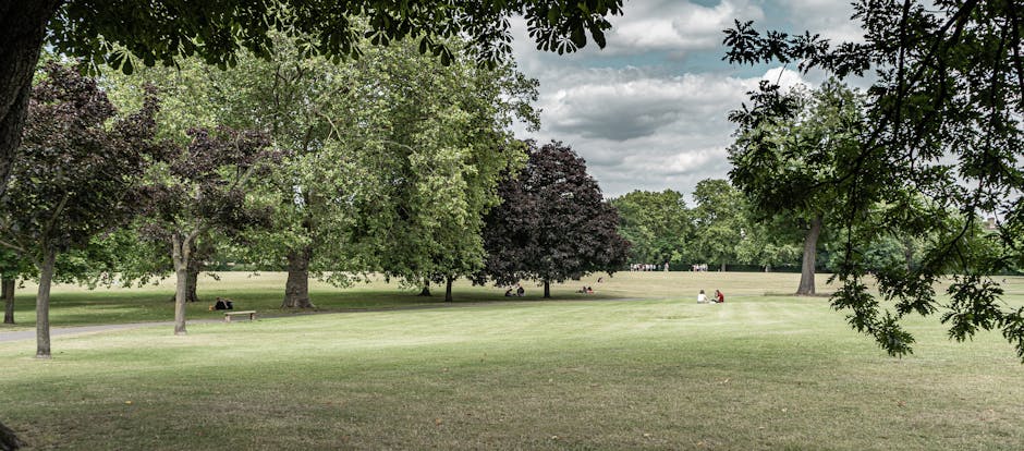 A wide view of a park with a large, open grassy area bordered by numerous mature trees with green and dark purple foliage, under a partly cloudy sky. Several people are visible seated on benches and r