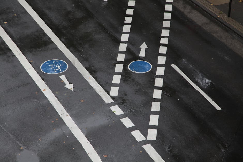 A top-down view of a section of wet street pavement featuring designated bike lanes marked with white dashed lines and blue circular symbols indicating bicycle paths, with arrows showing the direction of travel for cyclists. Adjacent to the bike lanes, there is a separate lane marked by solid white lines, which appears to be a loading zone or parking space. The surface of the asphalt is slightly reflective due to recent rain, and small scattered leaves are visible on the ground. In the background, part of a sidewalk with a curb edge can be seen. This image highlights the urban street layout designed for cyclist safety and traffic management, as part of a street environment where house removals or furniture transport may involve navigating narrow or complex roadways. For professional home relocation and furniture transport services in the area, Man With a Van Beddington operates in similar urban street settings, often requiring careful manoeuvres for narrow streets or congested areas.